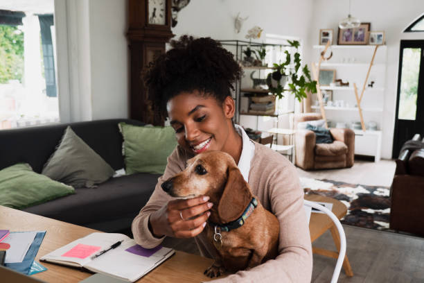 Pet-Friendly Atmosphere