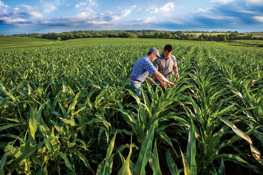 Corn Products