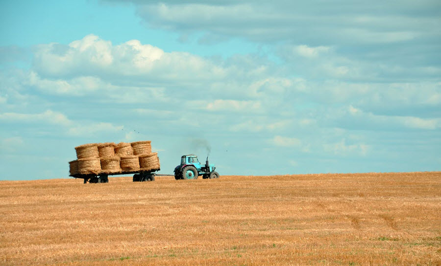 Agricultural Law