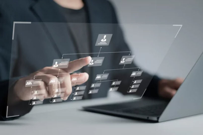 Business Entity Selection