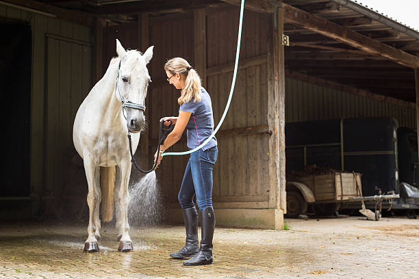 Equine Boarding & Care