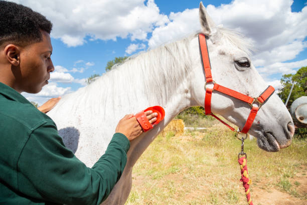 Community Outreach & Volunteer Opportunities