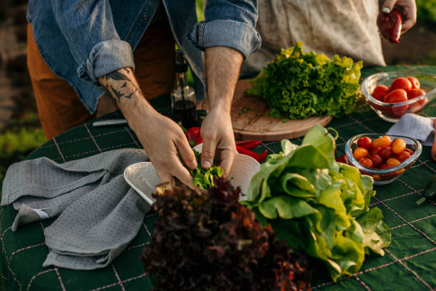 Farm-to-Table Experiences