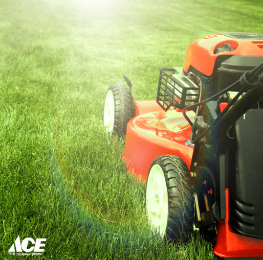 Lawn and Garden