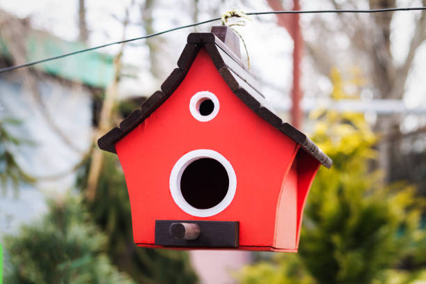 Bird-Friendly Feeders & Houses