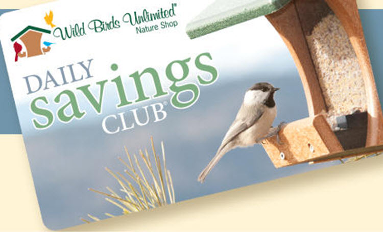 Special Offers & Promotions