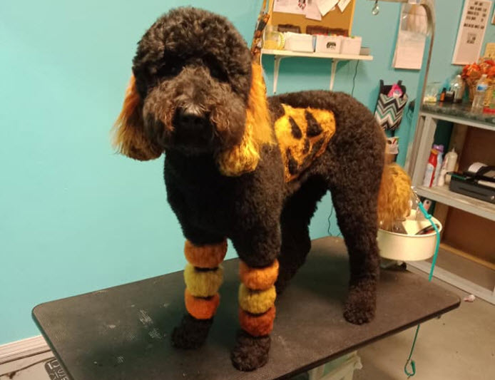 Customized Breed-Specific Grooming