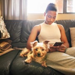 Pet-Friendly Accommodations