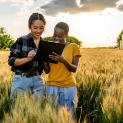 Agriculture Loan