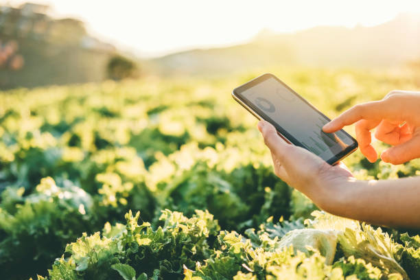 Precision Farming Technology
