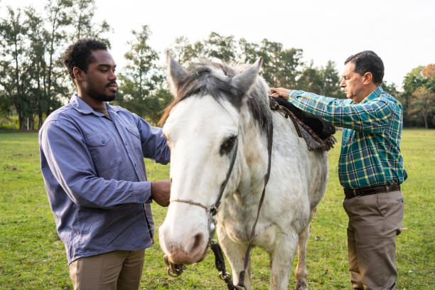 Equine Wellness Consultation