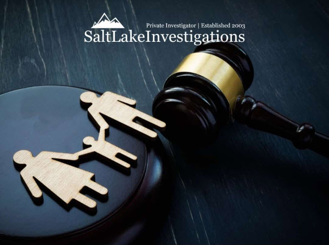 Family Law Investigations