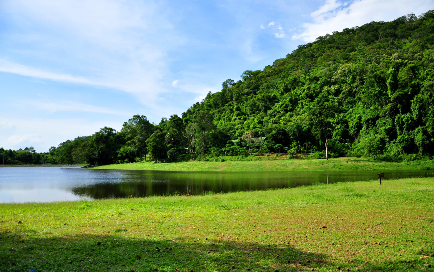 Community-Focused Atmosphere