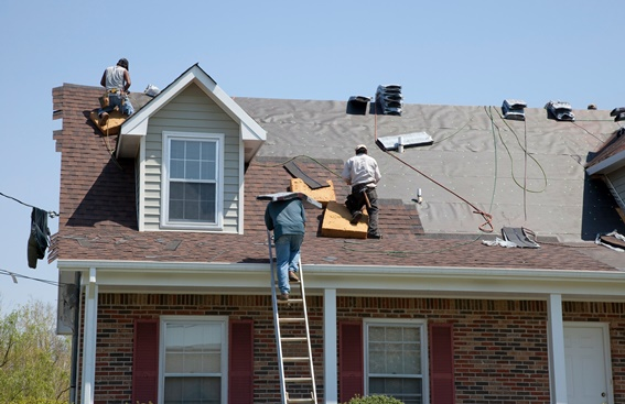 Shingle Roofs