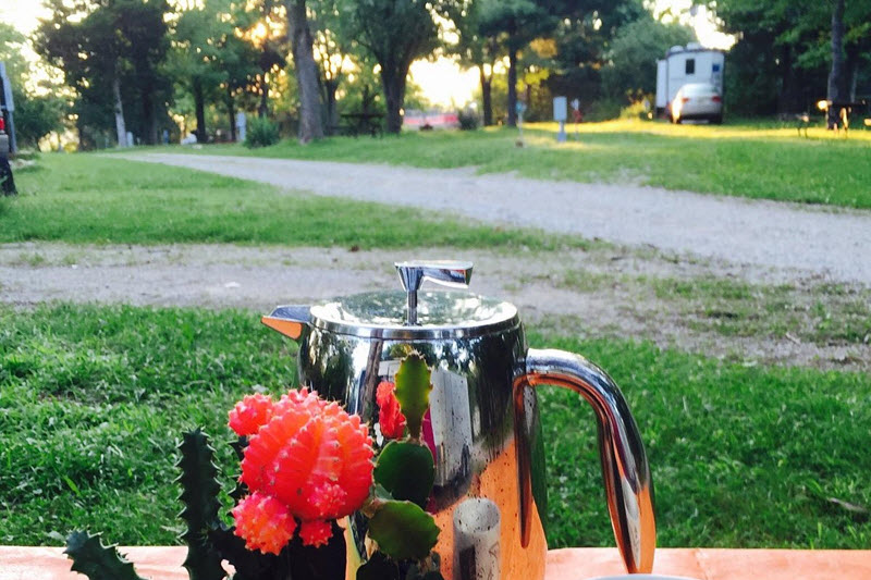 Scenic Picnic Areas