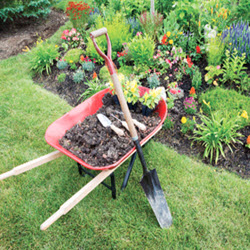 Outdoors / Lawn & Garden