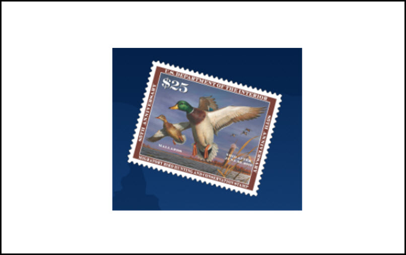 Duck Stamps