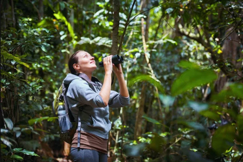 Wildlife Watching Tours
