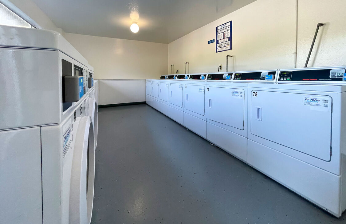 Laundry Section