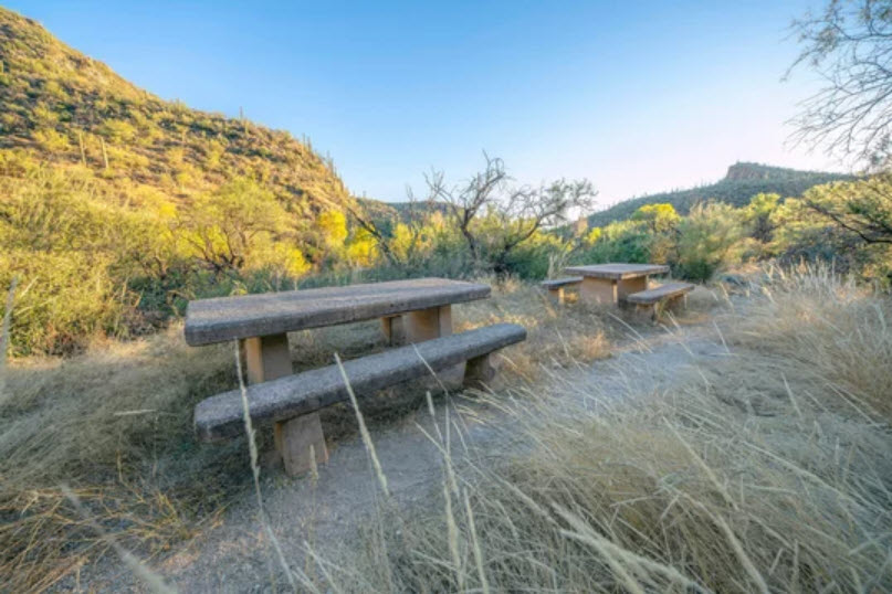 Trailside Picnic Areas