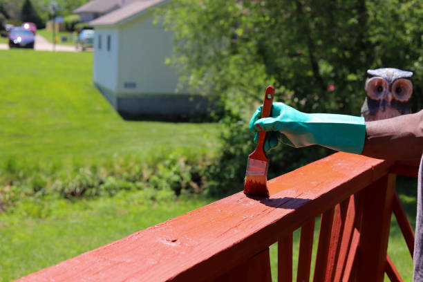 Deck & Fence Staining