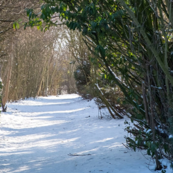 Winter Activities