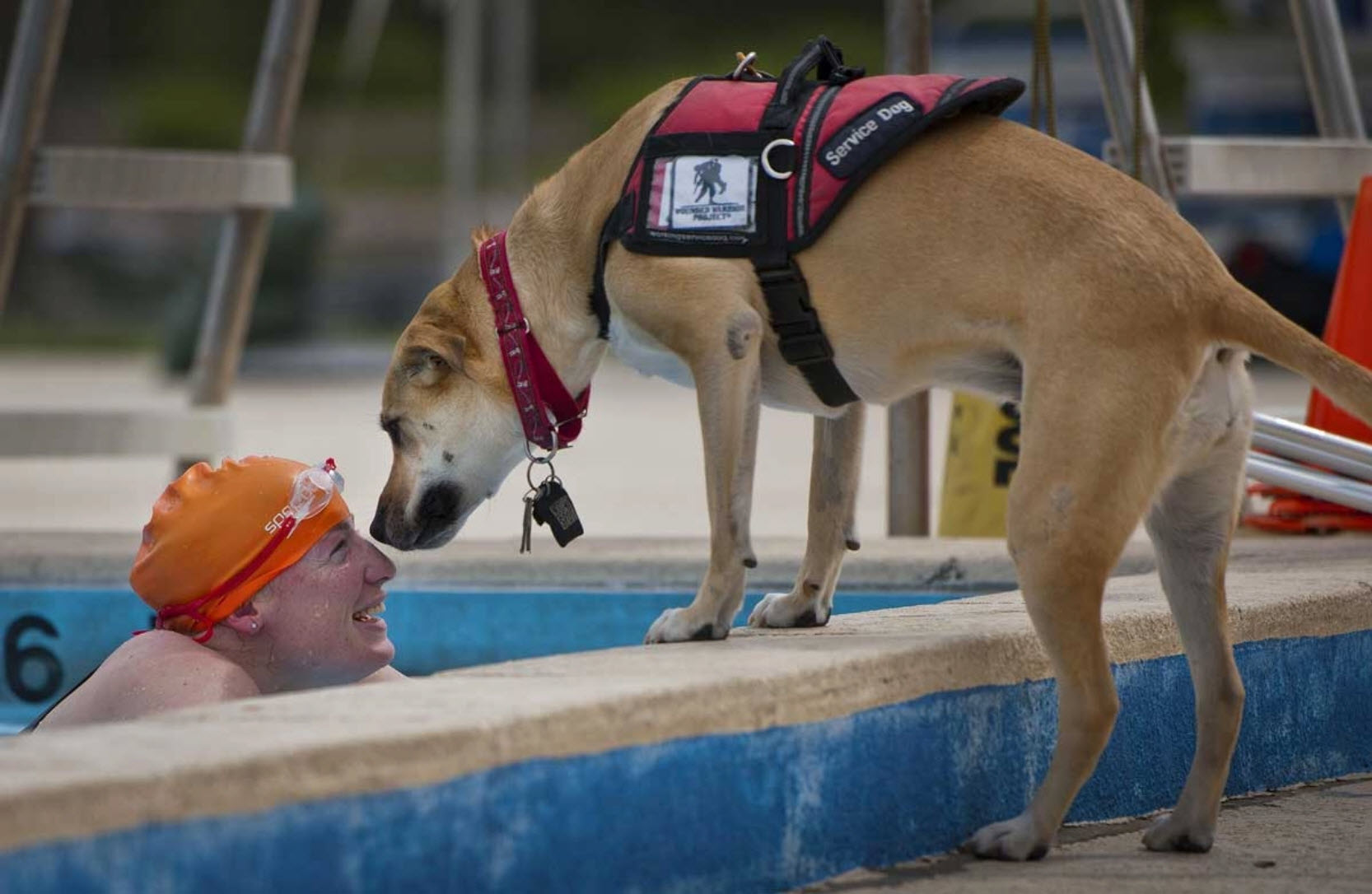 Service Dog Training