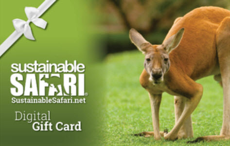 eGift Cards