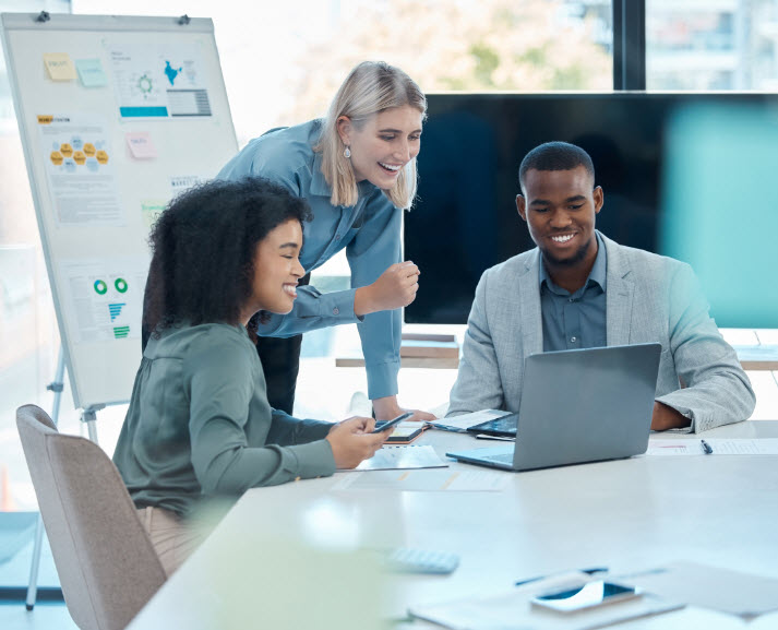 Accounting Professionals