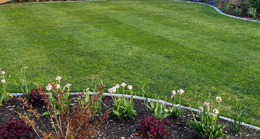 Lawn & Garden