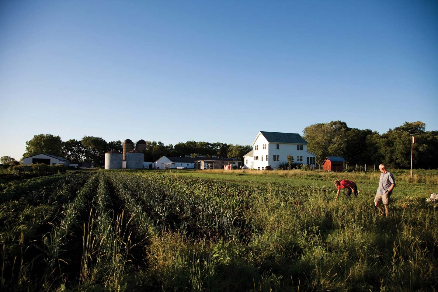 USDA Loans