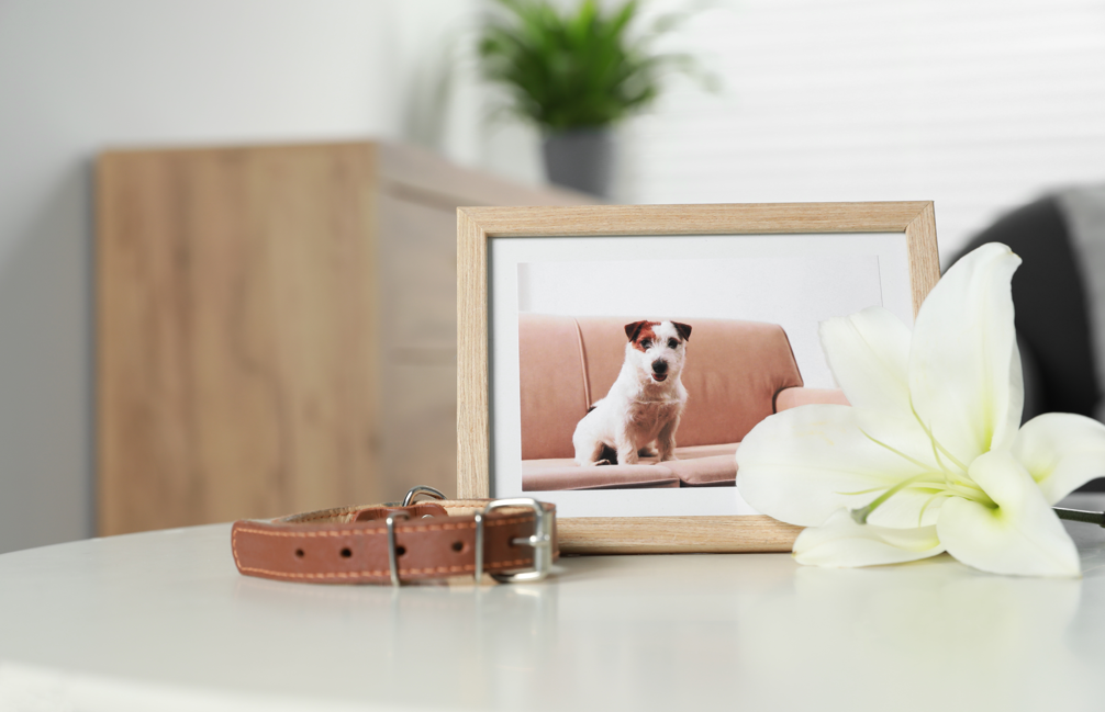 Pet Memorials