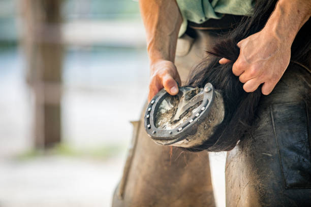 Farrier Services