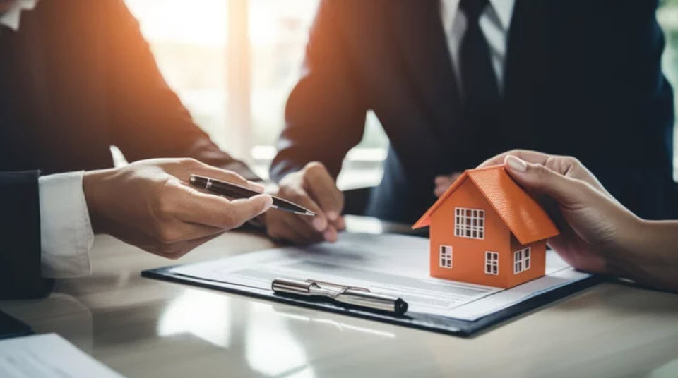 Investment Property Consultation