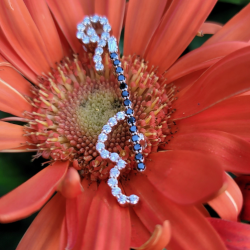Computer Aided Jewelry Design gives you a 3D image of your design