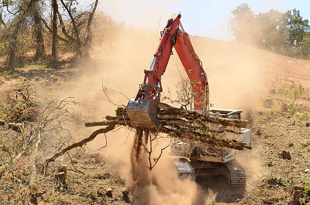 Land Clearing