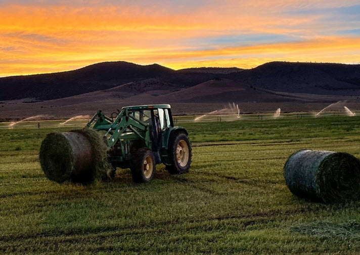 Farm and Ranch Supplies