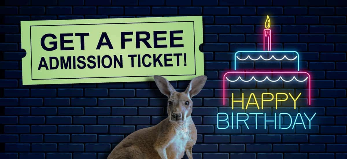 Free Birthday Day Pass