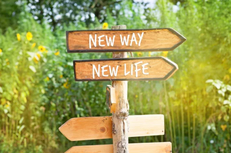 Life Transition Counseling