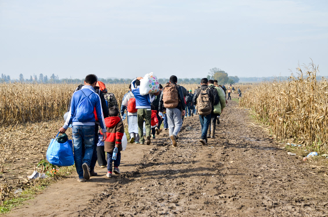 Humanitarian Immigration