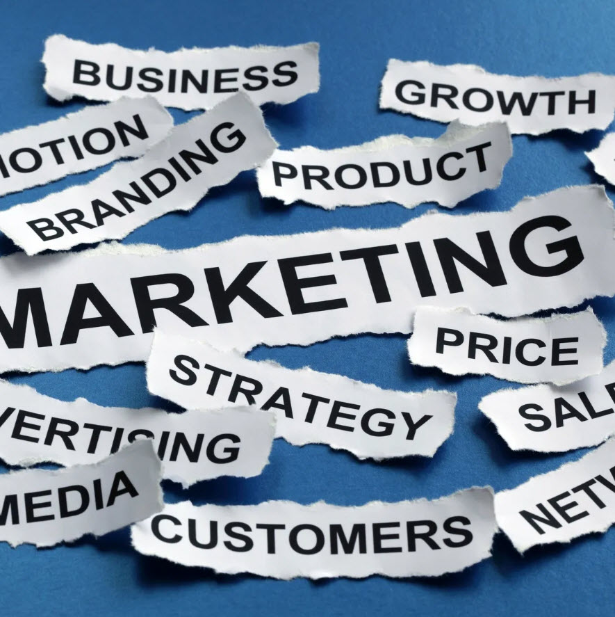 Marketing, Branding, and Digital Services