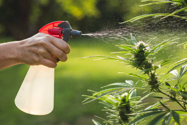 Integrated Pest Management