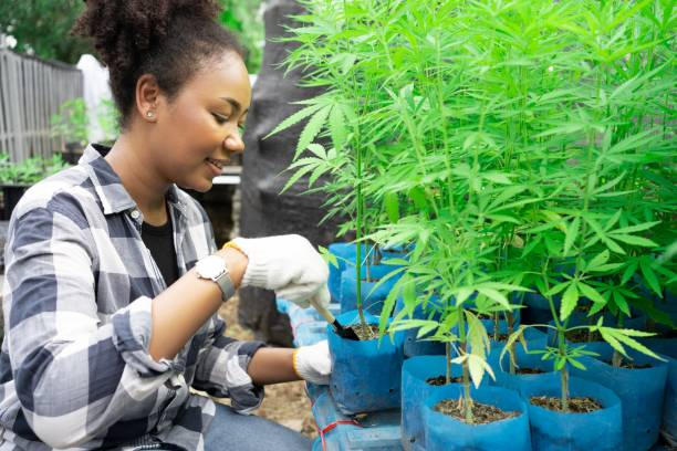 Organic Growing Solutions