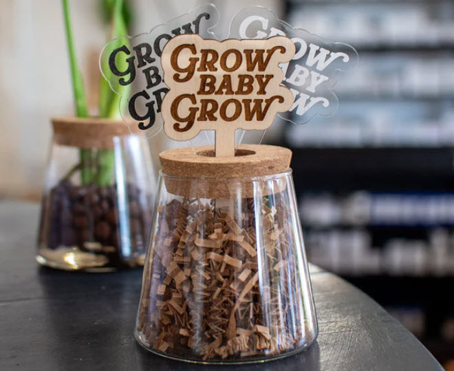 Plant Accessories
