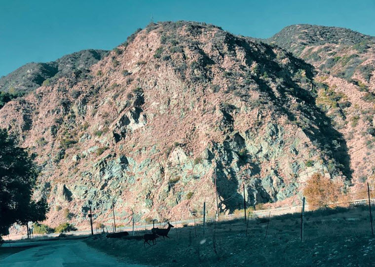 MT BALDY WILDERNESS
