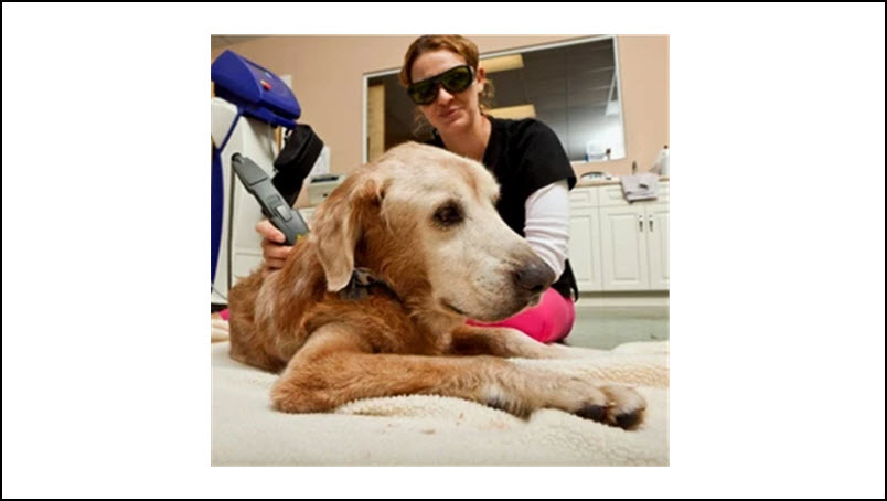 Cold Laser Therapy