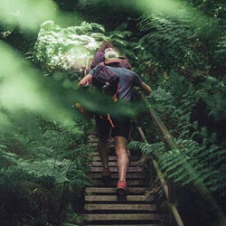 Hiking And Backpacking