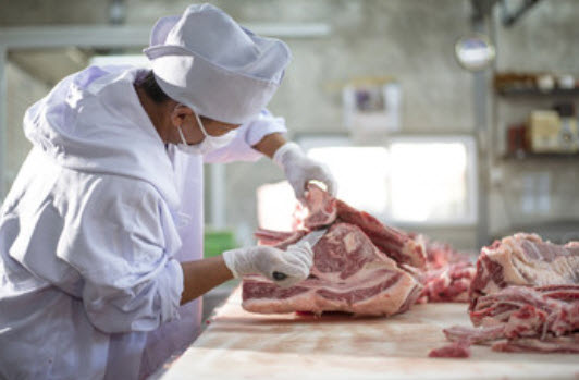 Food Safety