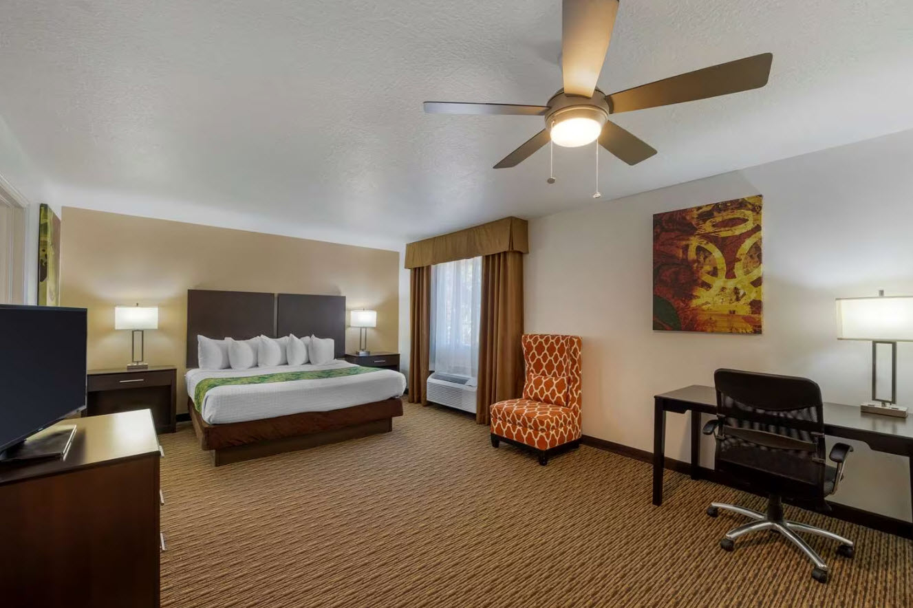 Suite-1 King Bed