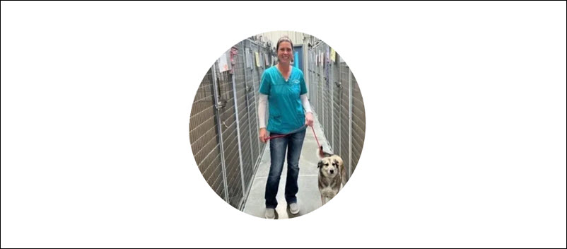 Local Animal Shelter Support